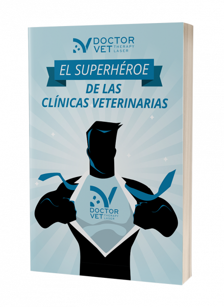 Ebook-Hero-ES-rid