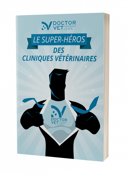 Ebook-Hero-FR-rid