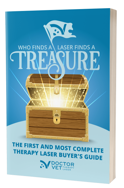 TREASURE-ENG