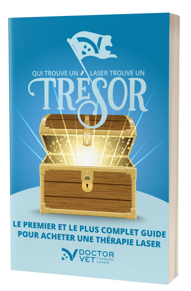 TREASURE-FRA