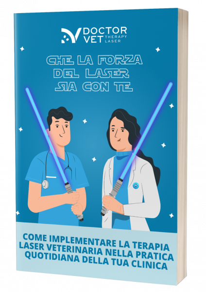 e-book-star-wars_cover_ITA