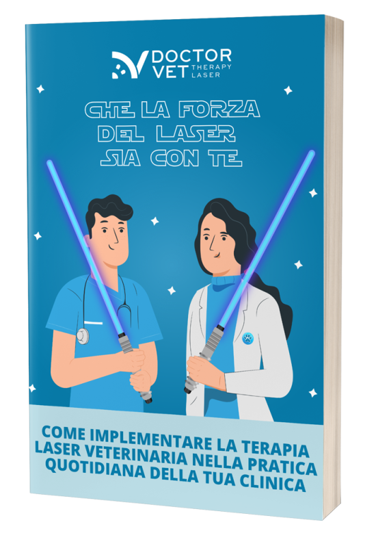 e-book-star-wars_cover_ITA