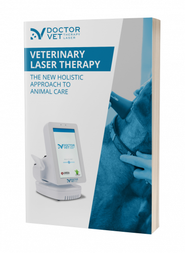 mockup-ebook-laser-therapy-EN